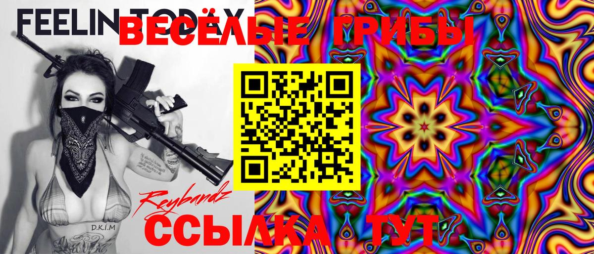 Галлюциногенные грибы Psilocybine cubensis Луховицы