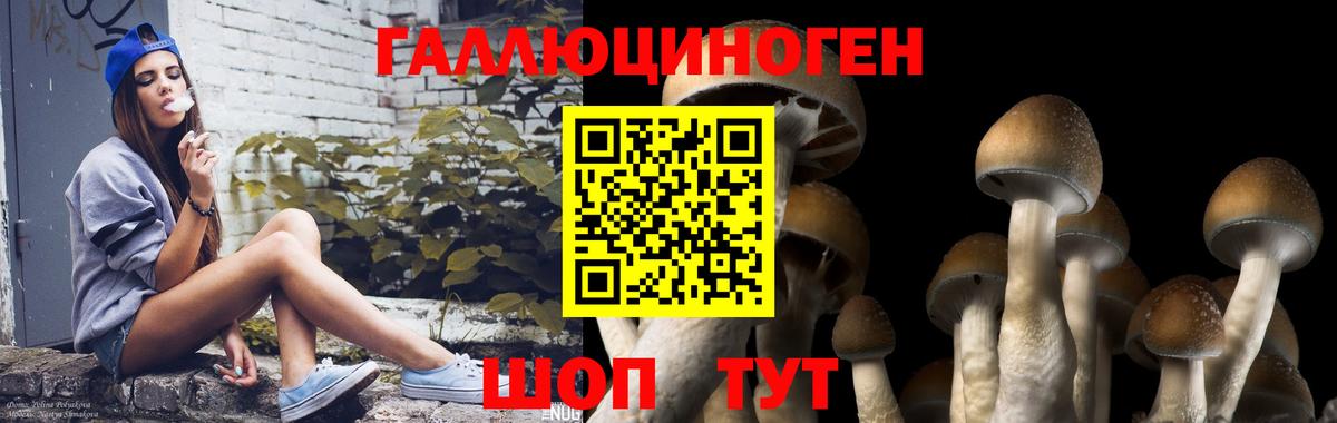 Псилоцибиновые грибы MAGIC MUSHROOMS  Вход с VPN  Луховицы 